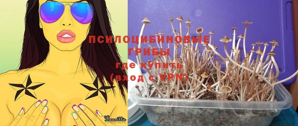 mdma Пролетарск